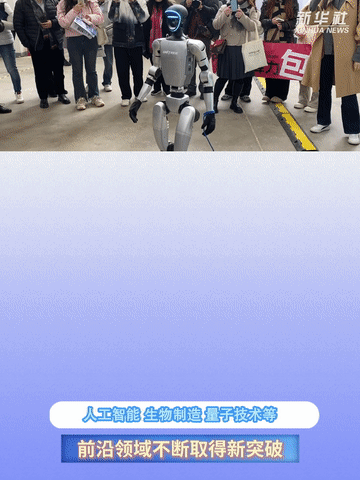 5.gif