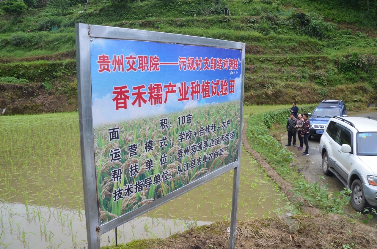 说明: DSC_6165
