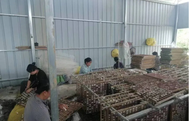 选准产业,拓宽富民增收渠道。