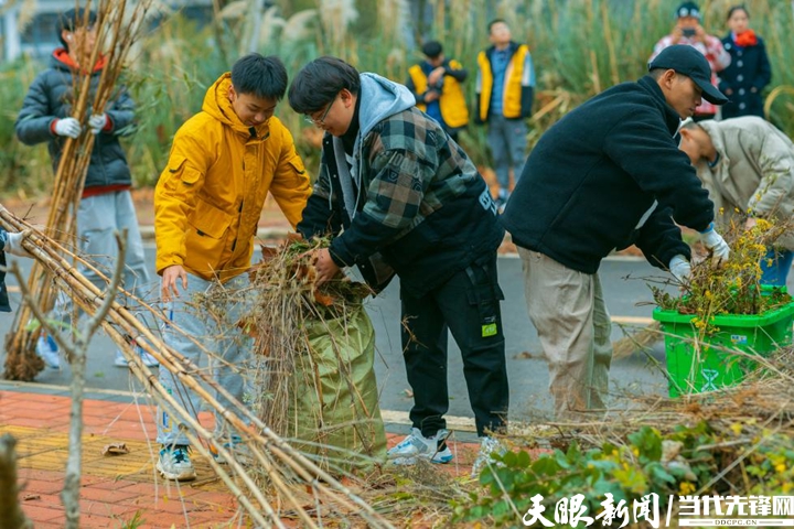 1710839564406177.jpg 水印2.jpg